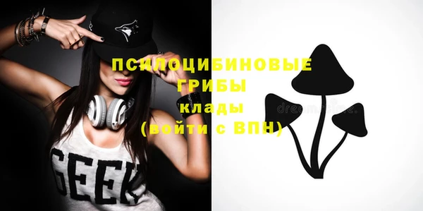 крисы Навашино