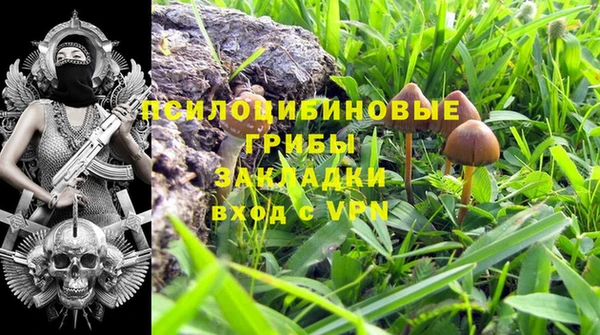 a pvp Надым