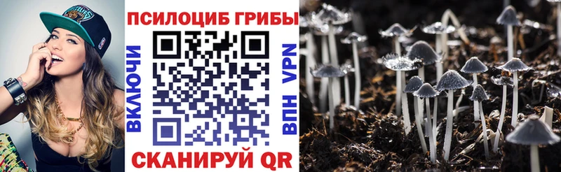 blacksprut зеркало  Остров  Галлюциногенные грибы Psilocybine cubensis  дарнет шоп 